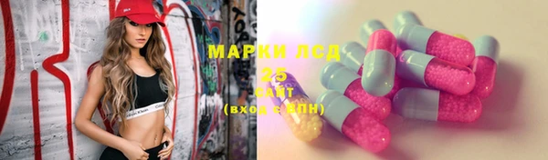 PSILOCYBIN Вязьма