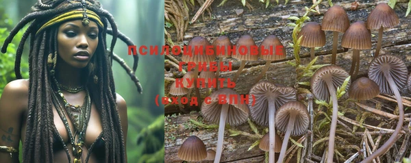 PSILOCYBIN Вязьма