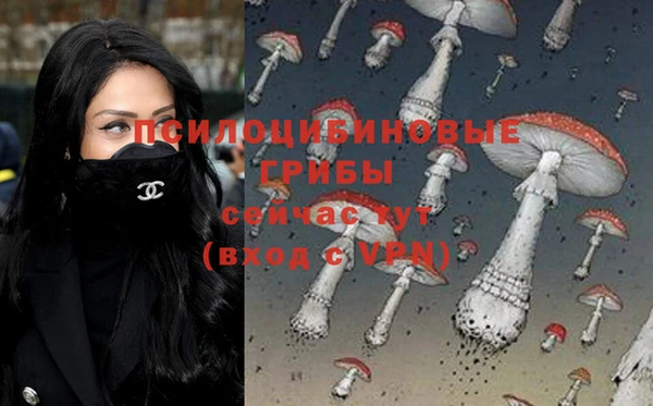 метадон Вяземский
