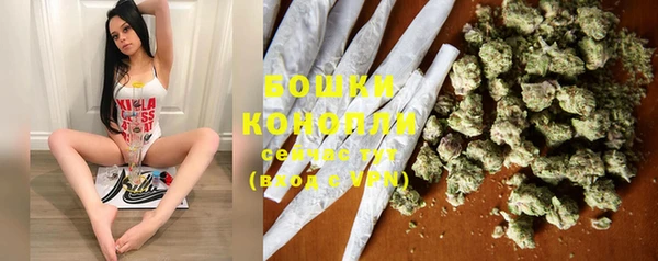 PSILOCYBIN Вязьма