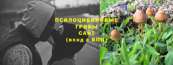 PSILOCYBIN Вязьма