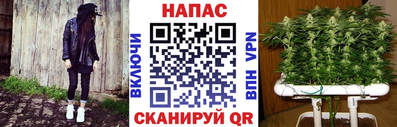 что такое   Лермонтов  Конопля MAZAR 